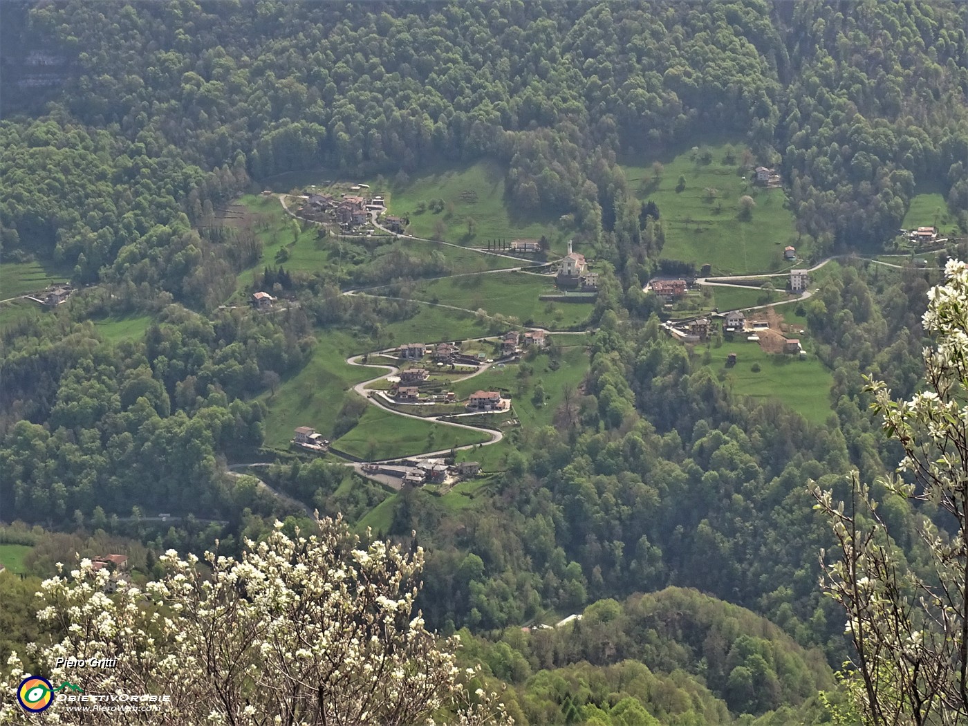 55 Amelanchier ovalis (Pero corvino) in fioritura con vista su Cornalta di Bracca.JPG